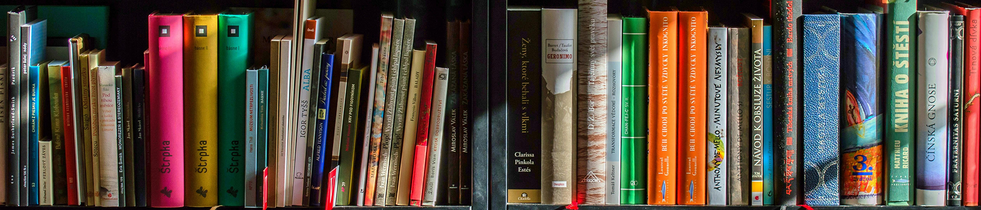 close up of books on a bookshelf